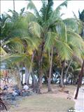 Playa la Pared - LUQUILLO